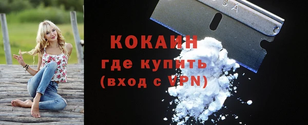 apvp Алексин