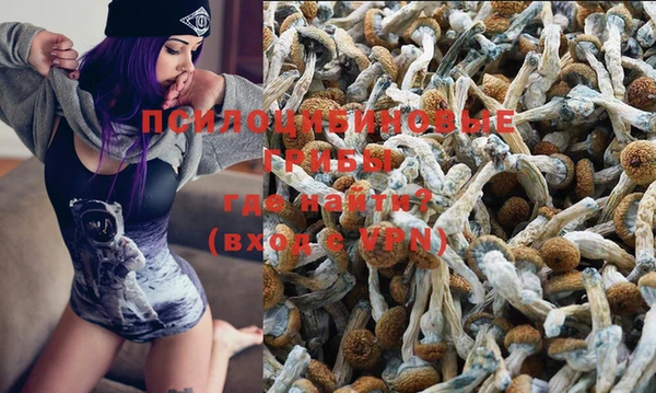 таблы Алзамай