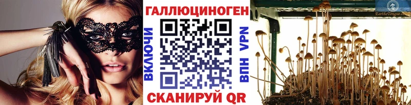 Псилоцибиновые грибы Psilocybine cubensis Апрелевка